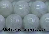 CMS1493 15.5 inches 12mm round white moonstone beads wholesale