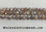 CMS1788 15.5 inches 8mm faceted coin AB-color moonstone beads