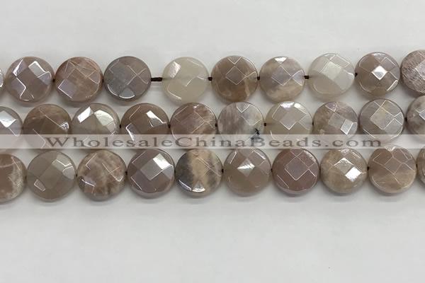 CMS1791 15.5 inches 14mm faceted coin AB-color moonstone beads