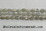 CMS1806 15.5 inches 8*12mm faceted oval AB-color moonstone beads