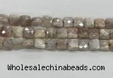 CMS1828 15.5 inches 12*12mm faceted square AB-color moonstone beads