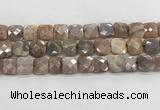 CMS1830 15.5 inches 14*14mm faceted square AB-color moonstone beads