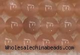 CMS1895 15.5 inches 6mm round moonstone gemstone beads