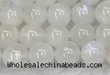 CMS1901 15.5 inches 6mm round white moonstone gemstone beads