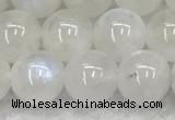 CMS1903 15.5 inches 10mm round white moonstone gemstone beads