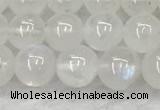 CMS1906 15.5 inches 6mm round white moonstone gemstone beads