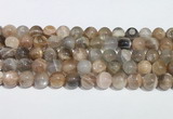 CMS2013 15.5 inches 12mm round moonstone gemstone beads