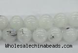 CMS204 15.5 inches 10mm round moonstone gemstone beads wholesale