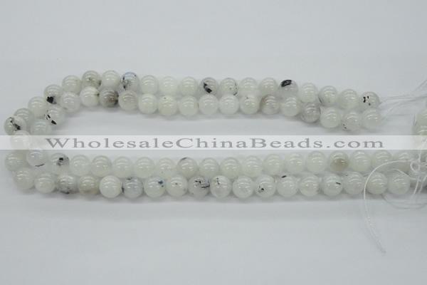 CMS204 15.5 inches 10mm round moonstone gemstone beads wholesale