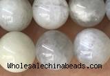 CMS2051 15.5 inches 8mm round moonstone gemstone beads