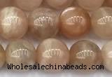 CMS2110 15 inches 7mm round moonstone beads