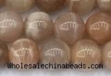 CMS2111 15 inches 8mm round moonstone beads