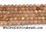 CMS2259 15 inches 8mm faceted round orange moonstone beads