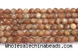 CMS2281 15 inches 8mm faceted round moonstone beads