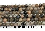 CMS2288 15 inches 8mm round grey moonstone beads wholesale