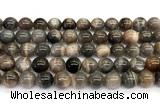 CMS2289 15 inches 10mm round grey moonstone beads wholesale