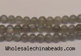 CMS300 15.5 inches 5mm round natural grey moonstone beads wholesale