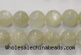 CMS313 15.5 inches 10mm round natural moonstone beads wholesale