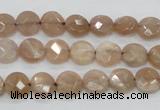 CMS43 15.5 inches 8mm faceted coin moonstone gemstone beads