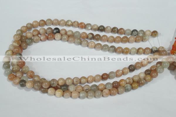 CMS503 15.5 inches 8mm round moonstone beads wholesale