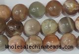 CMS505 15.5 inches 12mm round moonstone beads wholesale