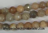 CMS571 15.5 inches 8mm faceted round moonstone beads wholesale