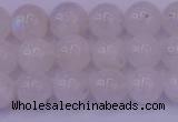 CMS642 15.5 inches 8mm round white moonstone beads wholesale