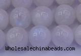 CMS644 15.5 inches 12mm round white moonstone beads wholesale