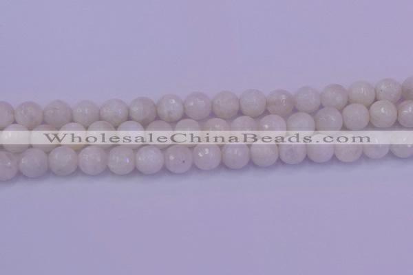 CMS663 15.5 inches 10mm faceted round white moonstone beads