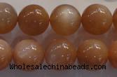 CMS736 15.5 inches 16mm round A grade natural peach moonstone beads