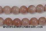 CMS754 15.5 inches 10mm round natural moonstone beads wholesale