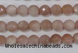 CMS764 15.5 inches 8mm faceted round natural moonstone beads