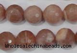 CMS767 15.5 inches 14mm faceted round natural moonstone beads