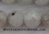 CMS804 15.5 inches 12mm faceted round white moonstone beads