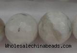 CMS805 15.5 inches 14mm faceted round white moonstone beads