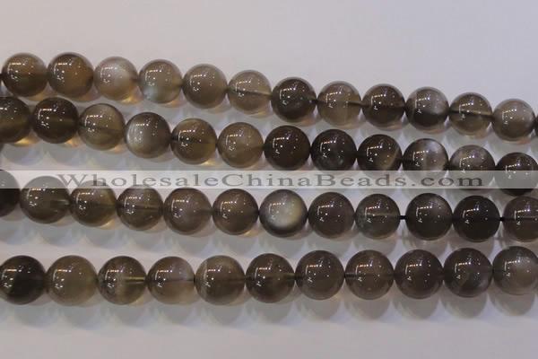 CMS854 15.5 inches 12mm round natural black moonstone beads