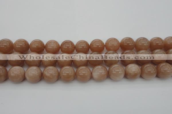 CMS935 15.5 inches 14mm round A grade moonstone gemstone beads