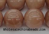 CMS937 15.5 inches 18mm round A grade moonstone gemstone beads