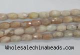 CMS99 15.5 inches 5*7mm faceted rice moonstone gemstone beads