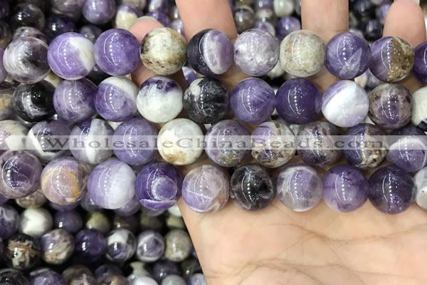 CNA1086 15.5 inches 14mm round dogtooth amethyst beads wholesale