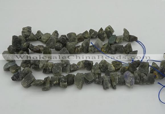 CNG1159 15.5 inches 8*12mm - 13*18mm nuggets labradorite beads