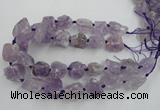 CNG1822 15.5 inches 20*25mm - 25*30mm nuggets amethyst beads