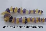 CNG2543 12*20mm – 15*30mm nuggets lavender amethyst & citrine beads