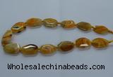 CNG2635 15.5 inches 18*28mm - 20*30mm freeform agate beads