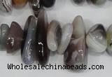 CNG316 15.5 inches 3*6mm - 5*22mm nuggets botswana agate beads