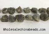 CNG3567 15.5 inches 18*20mm - 25*30mm nuggets rough labradorite beads