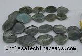 CNG5254 15.5 inches 22*30mm - 35*45mm faceted freeform labradorite beads