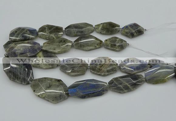 CNG5255 15.5 inches 22*30mm - 35*45mm faceted freeform labradorite beads