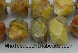 CNG5436 12*16mm - 15*20mm faceted nuggets crazy lace agate beads