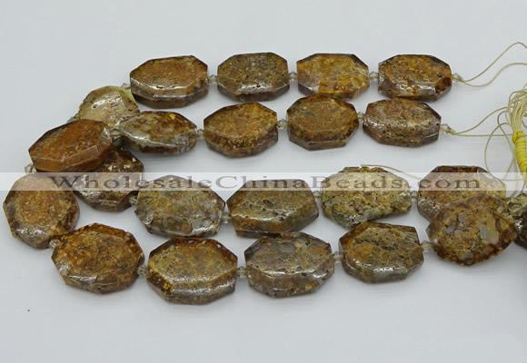 CNG5454 15.5 inches 20*30mm - 35*45mm faceted freeform opal beads